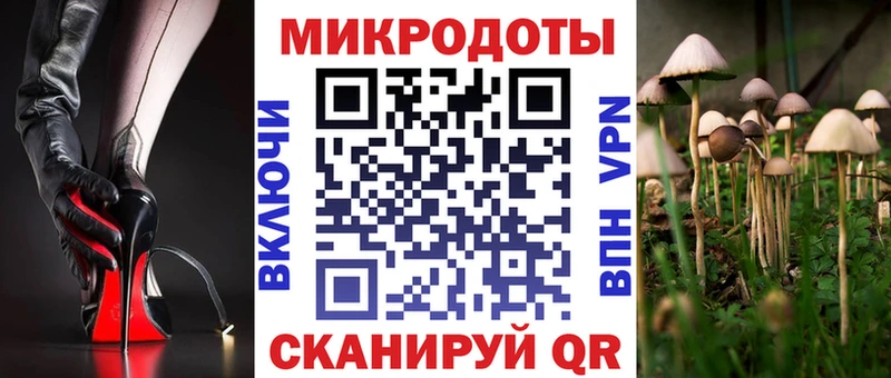 наркошоп  Строитель  Псилоцибиновые грибы Magic Shrooms 