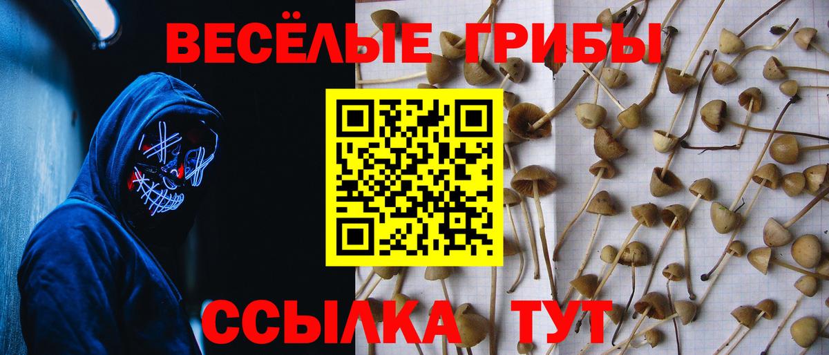 Галлюциногенные грибы мицелий Строитель