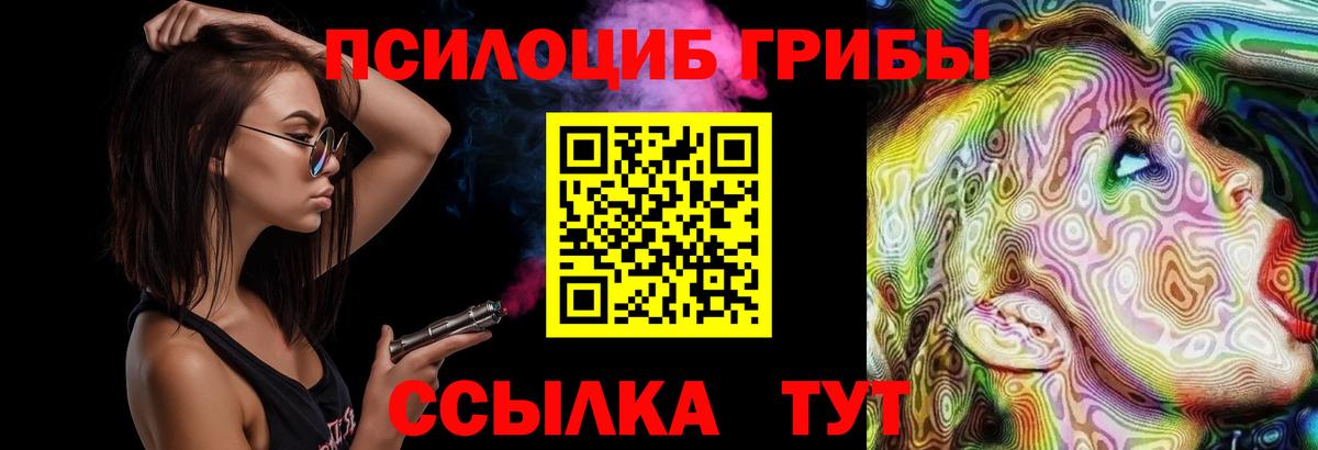Псилоцибиновые грибы Cubensis  Вход с VPN  Строитель  Псилоцибиновые грибы MAGIC MUSHROOMS 