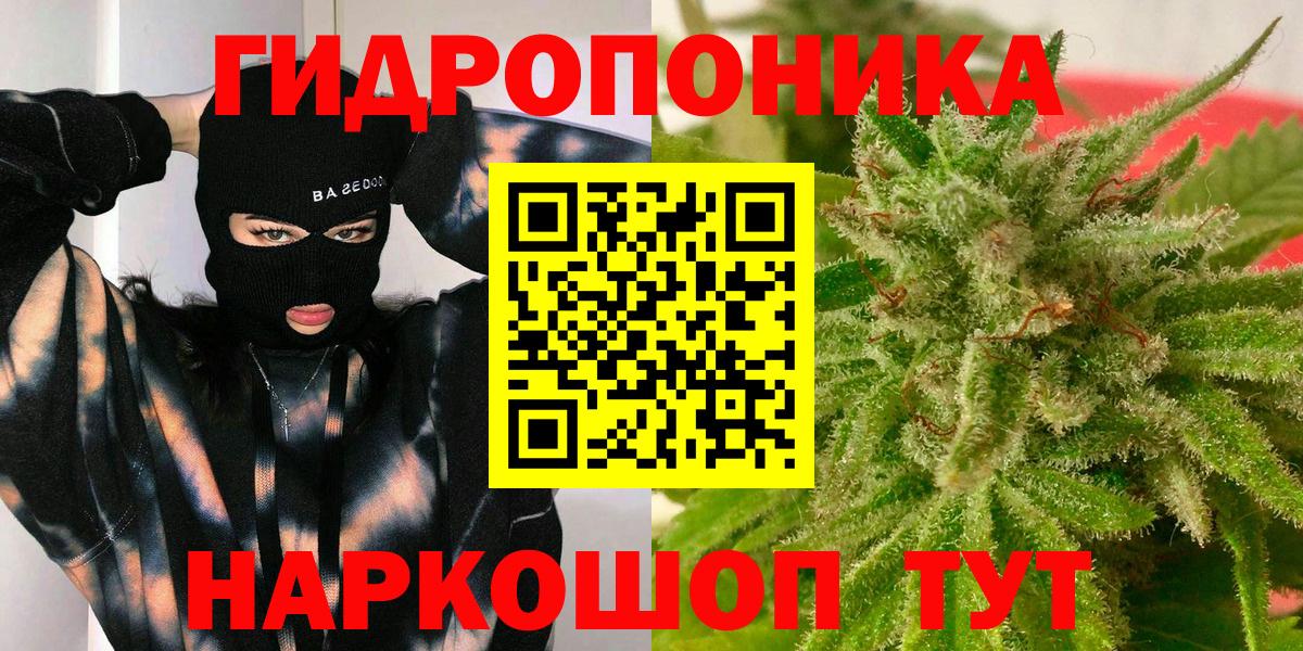 Каннабис индика  Вход с VPN  Марихуана VHQ  Строитель 